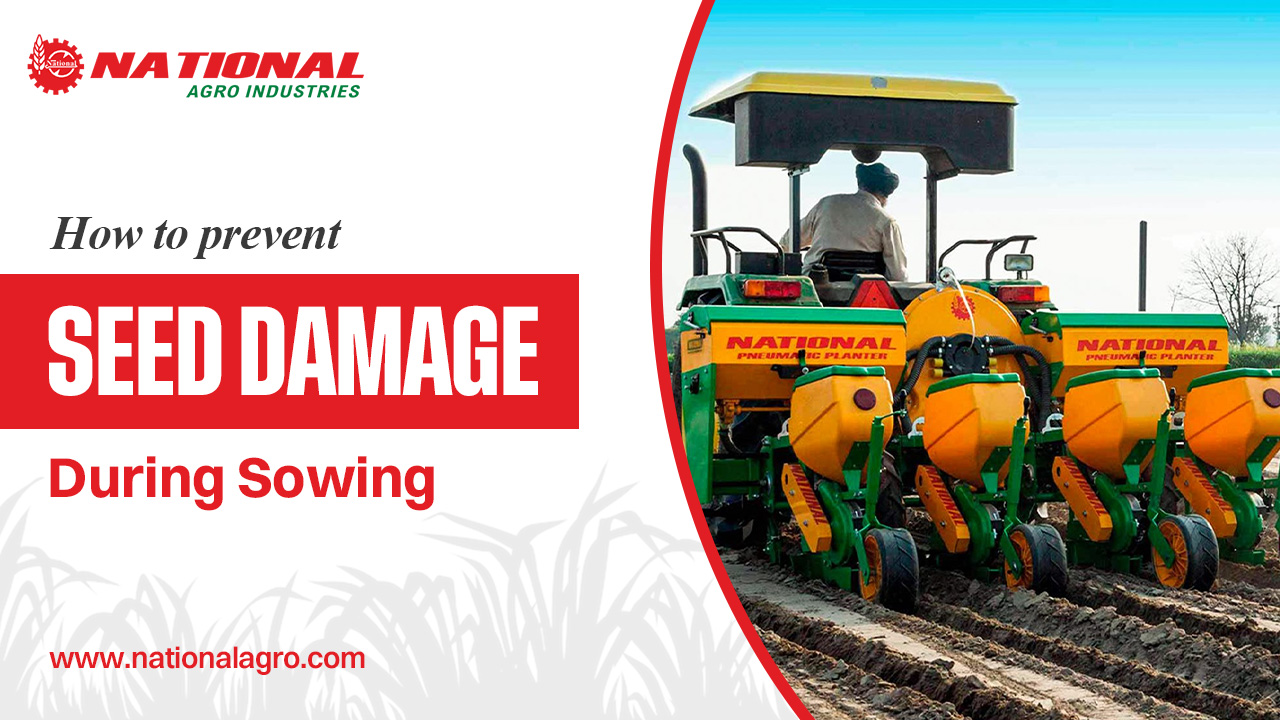 How to Prevent Seed Damage During Sowing